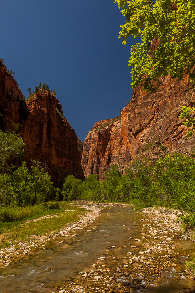 Wanderung in die Narrows, Zion NP