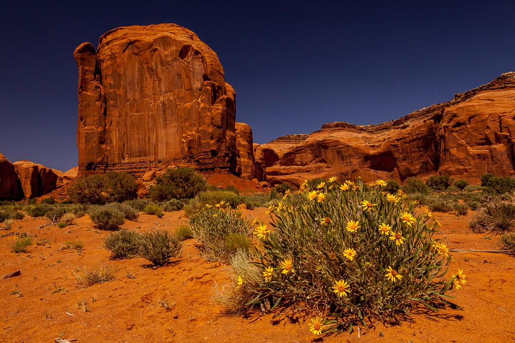 Auf der Parkstraße durch den Monument Valley Tribal Park