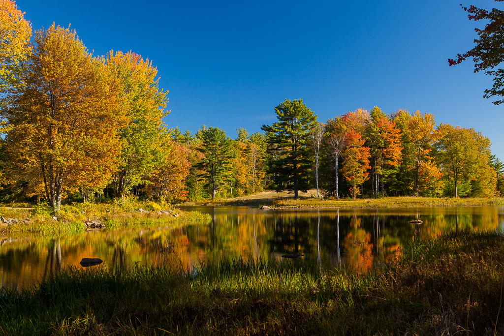 Herbstwald am Mills Pond des Canterbury Shaker Village