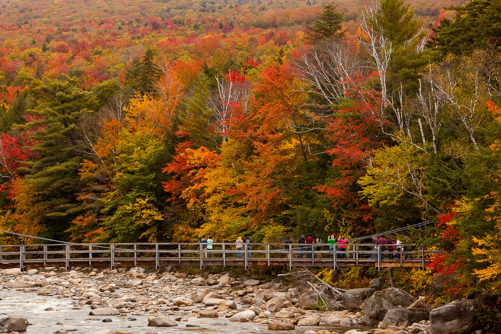 Herbstwald am Kancamagus Highway nahe Lincoln